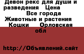 Девон рекс для души и разведения › Цена ­ 20 000 - Все города Животные и растения » Кошки   . Орловская обл.